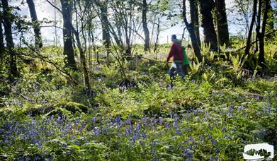 Cladagh Glen Walk