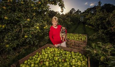 Armagh Apple Farm