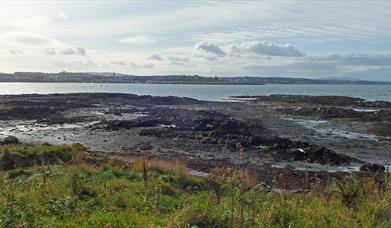 Ballymacomick Point