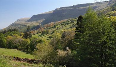 Glenariff Forest Park, Rainbow Trail