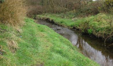 Killyclogher Burn