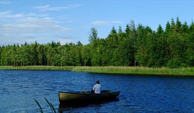 Coarse Angling Lough Catherine