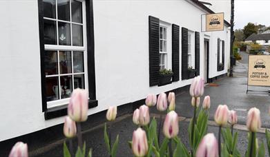 Front exterior to cafe with Tulips in the forefront