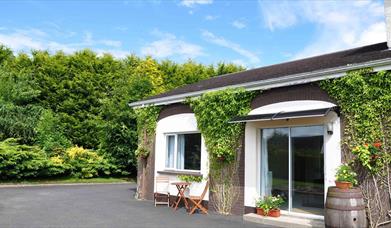 A large green hedge behind a bungalow with climbing vines up the side