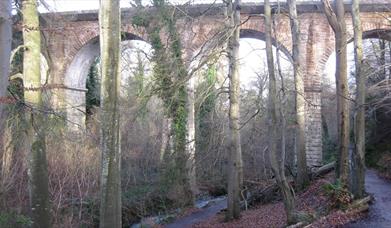 Crawfordsburn Country Park, Glen Walk