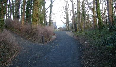 Walks at Carnfunnock Country Park