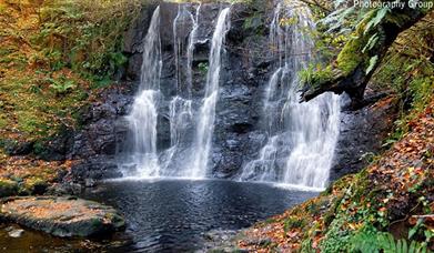 Glenariff Nature Reserve Waterfalls Walk