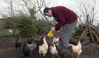 Carrickfergus Urban Farm & Garden Centre