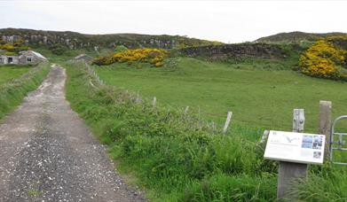 Rathlin Ballyconaghan Trail