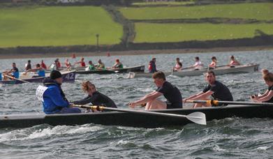 Number of rowers in rowing boats in the sea competing in a race, with shore in background