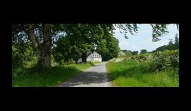 A hedge lined laneway to a white house