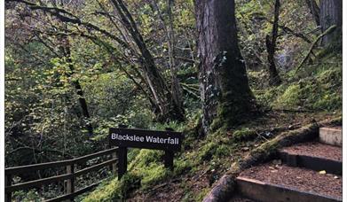 Blackslee Waterfall Walk