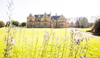 Photo of the side view of Bangor Castle (Bangor Town Hall) on a beautiful sunny day framed by flowers