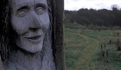 Corrog Wood