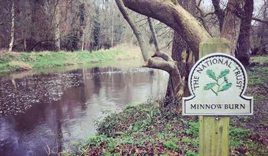 Minnowburn and Giant’s Ring