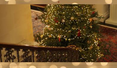 Christmas Tree in Montalto House