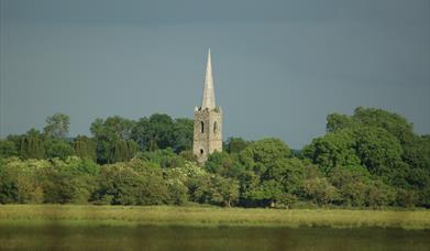 View of Church tower and spire protruding from behind trees in the middle of Church Island with marshy land in front of the trees and Lough Beg in fro