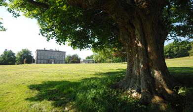 The Palace Demesne Public Park