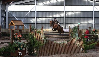 Horse and rider mid-jump