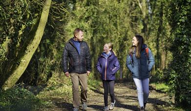 A family walk along a woodland path at Ballyronan Wood.