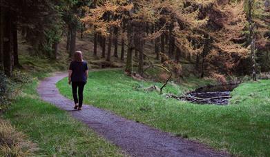 A woman walking along a path in Davagh Forest.