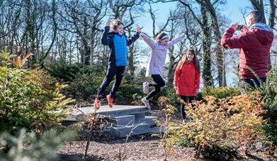 Children being photographed in Kilbroney Park