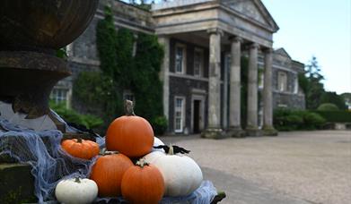 Pumpkins in front of the House