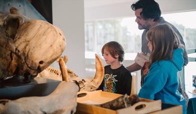 Dig into History at the Ulster Museum