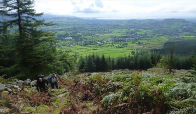 Famine Wall Walk - Mountain Ways Ireland