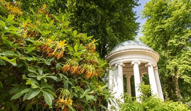 Image is of the Lady Alice Temple with surrounding foliage