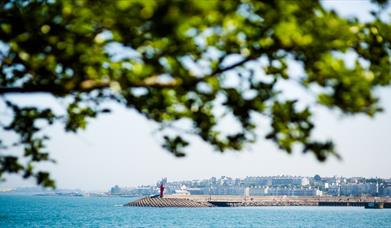 A photo from a distance showing Eisenhower Pier on a sunny day, framed by a leafy tree branch