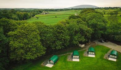 Thornfield Farm Luxury Glamping Site The Dark Hedges