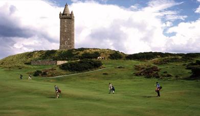 Golfers in play on the green with Scrabo Tower in background close by