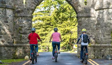 Ballyhafry & Beyond by Electric Bike– Bike Mourne