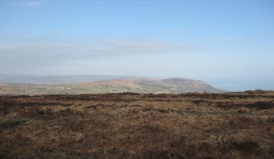 Divis Heath Trail