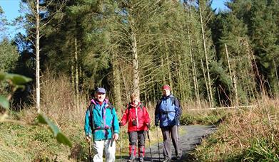 Gortin Forest Ladies View