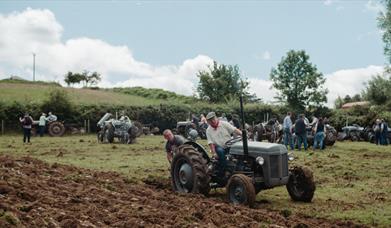 Tractors in a field