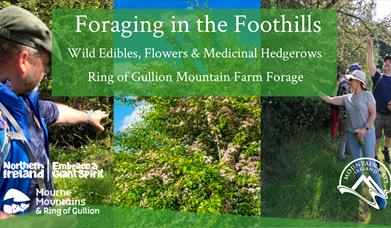 Foraging in the Foothills Banner