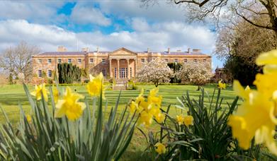 An image of Hillsborough Castle with daffodils in the garden
