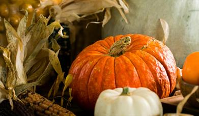 Pumpkins for Halloween Bazaar at Montalto