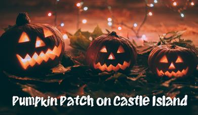 Pumpkin Patch on Castle Island