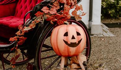 Halloween at Montalto Estate