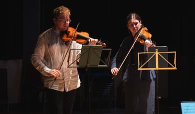 Two violinists