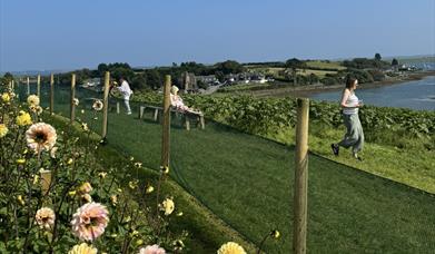Millbank Farm Flower Fest