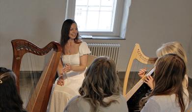 Learn to Play the Irish Harp Workshop