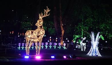 Image is of Lisburn Light Trail 2024 in Castle Gardens 