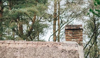 Image of a thatched roof cottage in the rural Ulster area of Ulster American Folk Park