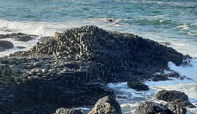 Little North Coast Tours