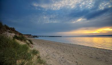 Magilligan Point Nature Reserve