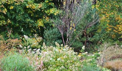 Gardens in autumn bloom